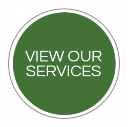 View Our Services